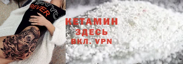 крисы Инта