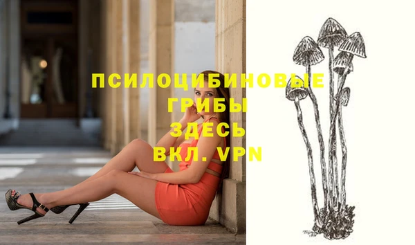 мяу мяу кристалл Инсар