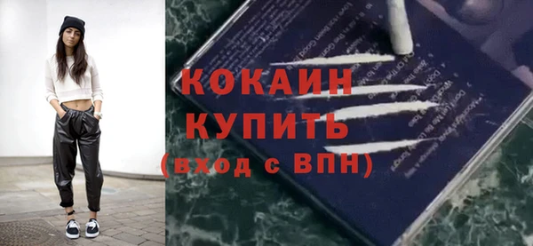 крисы Инта