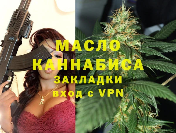 крисы Инта