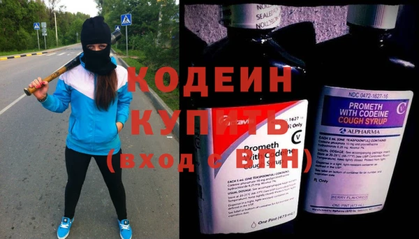 крисы Инта