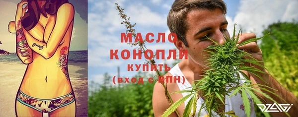 крисы Инта