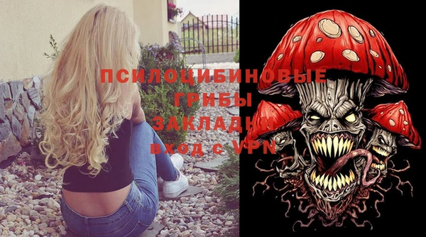 крисы Инта