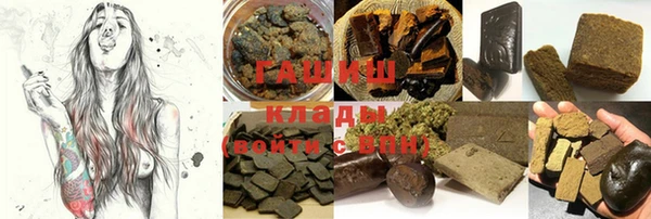 крисы Инта