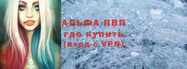 крисы Инта