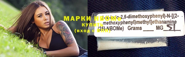 крисы Инта