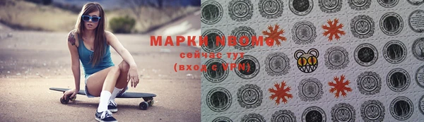 крисы Инта
