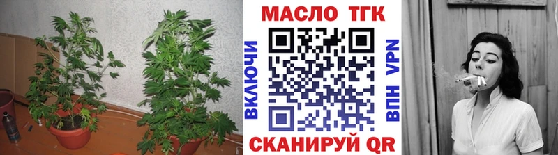 Купить  Кадников  Дистиллят ТГК THC oil 